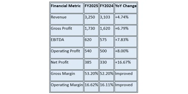Financial Summary Table